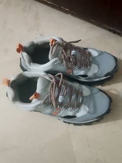 Cat. Shoes brand new