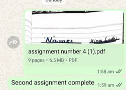 online assignment work job