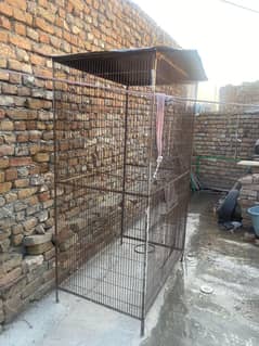 bird cages