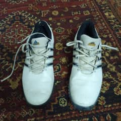 golf shoe