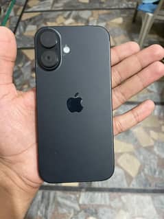 New