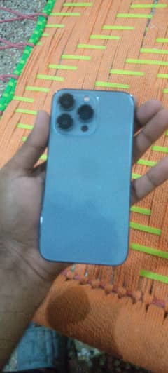 iPhone13