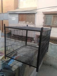 1 portion Cage for Sale MOTA Lohe Ka Cage h