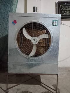 full