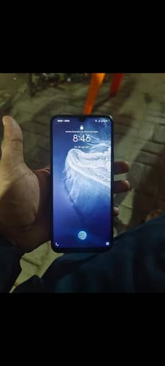 vivo