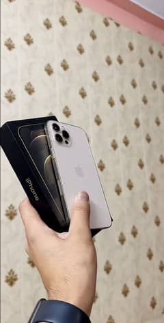 12 pro max non pta