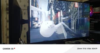 24 inch Ips Led  birderless