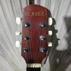 fiber acoustic guitar