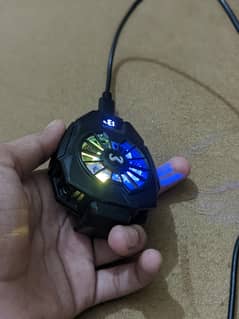 memodl05