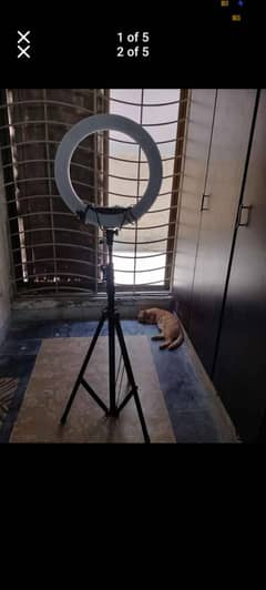 Professional Selfie Ring light with tripod stand
