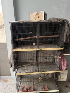 BIRDS CAGE