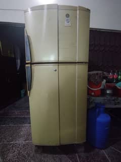 PEL FRIDGE