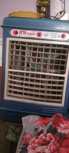 12volt cooler