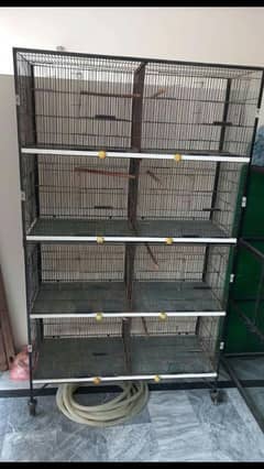 birds cage
