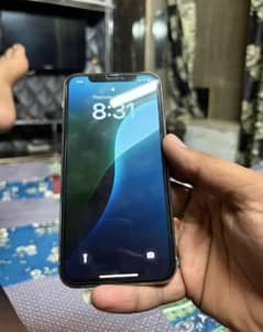 11 pro