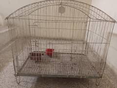 Bird.  parrot  cage