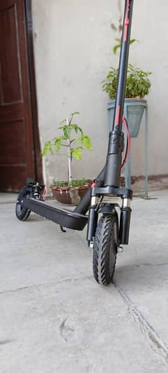 Scooty