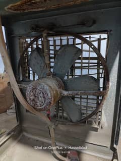 Air cooler