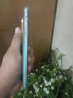 condition 10/10