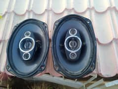 pioneer