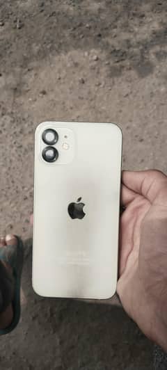 apple