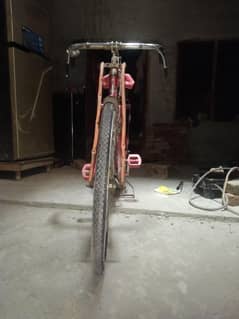 20 inch