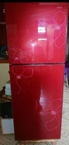 Orient refrigerator model 5554 glass door