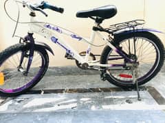 Cycle 20 size imported call (03228024104)