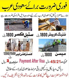 company visa