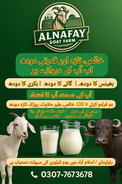 Goat Milk