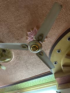 White gold  fans 4 pics same design