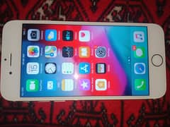 iphone 6