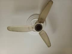 Royal fan AC old model