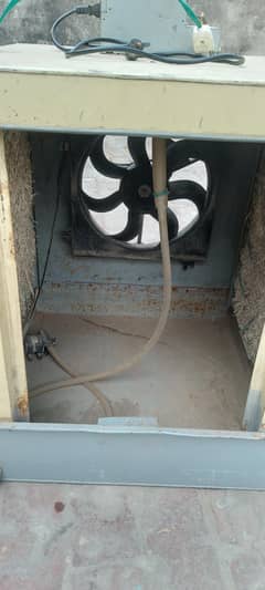 12 volt cooler