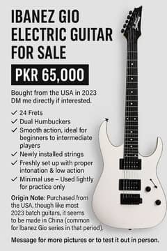 Ibanez Gio Series Electric Guitar
