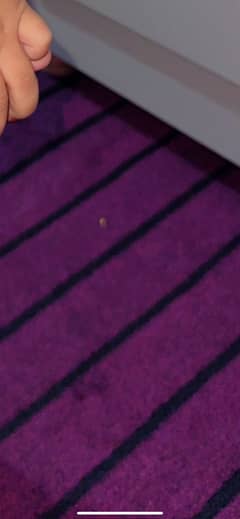 Purple carpet kids room