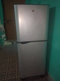 PEL