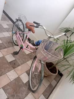 Morgan Bicycle