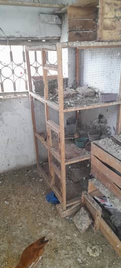 pigeon cage 3 hana wala argent sale ?