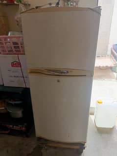 Waves Frige