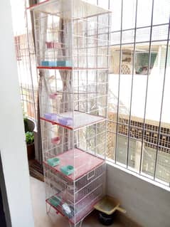 Cage