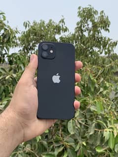iPhone 12 (64GB JV) – 98% Battery Health, 10/10 Condition