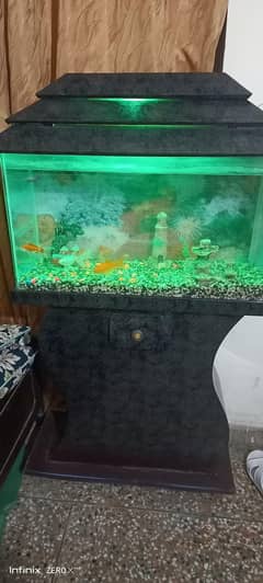 Aquarium