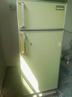 Japani fridge