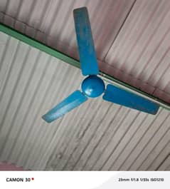 Pak fan ceiling fan in working condition