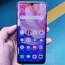vivo