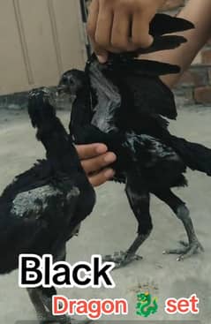 black