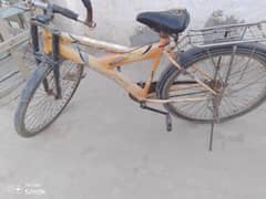 cycle