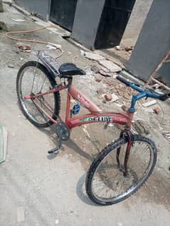 Deluxe Cycle