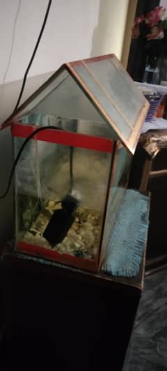 fish tank